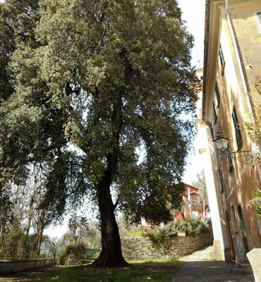 lungo il Giro delle Cinque Torri