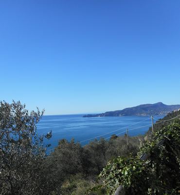lungo l'anello delle Grazie