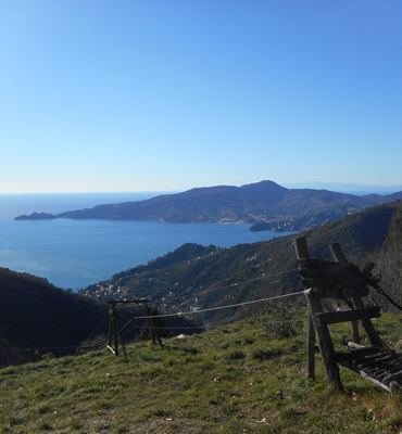 lungo il cammino per Montallegro