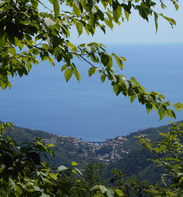 scorcio su Zoagli dal passo dell'Anchetta