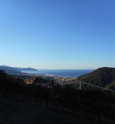 lungo l'anello del Monte del Telegrafo