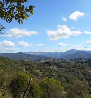 lungo l'anello del Monte del Telegrafo