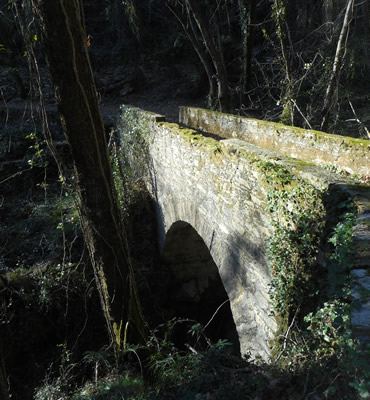 lungo l'anello del Monte del Telegrafo