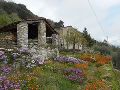 collina delle Grazie