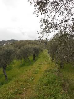 casali di Bacezza