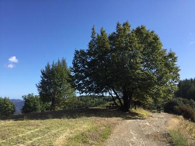 Le vie dell'ardesia, Lavagna