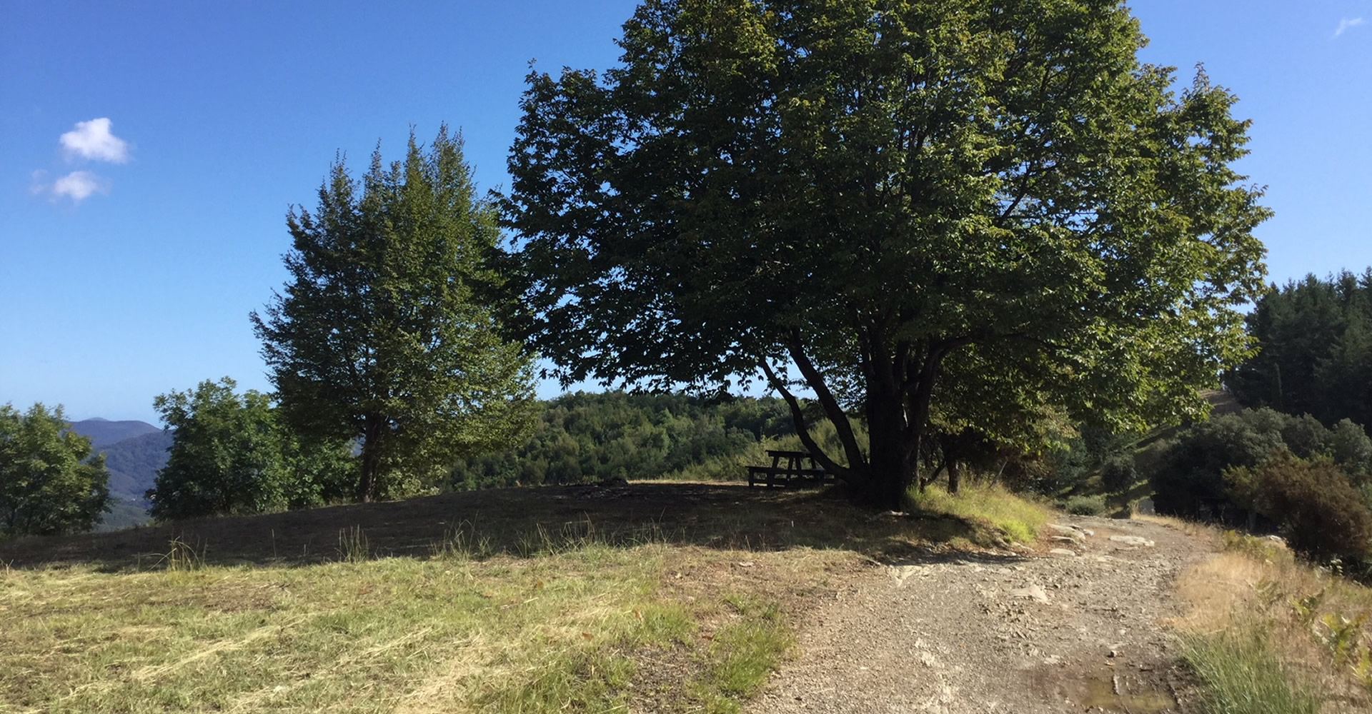 Località Selva, tra Lavagna e Sestri Levante a 500 m slm