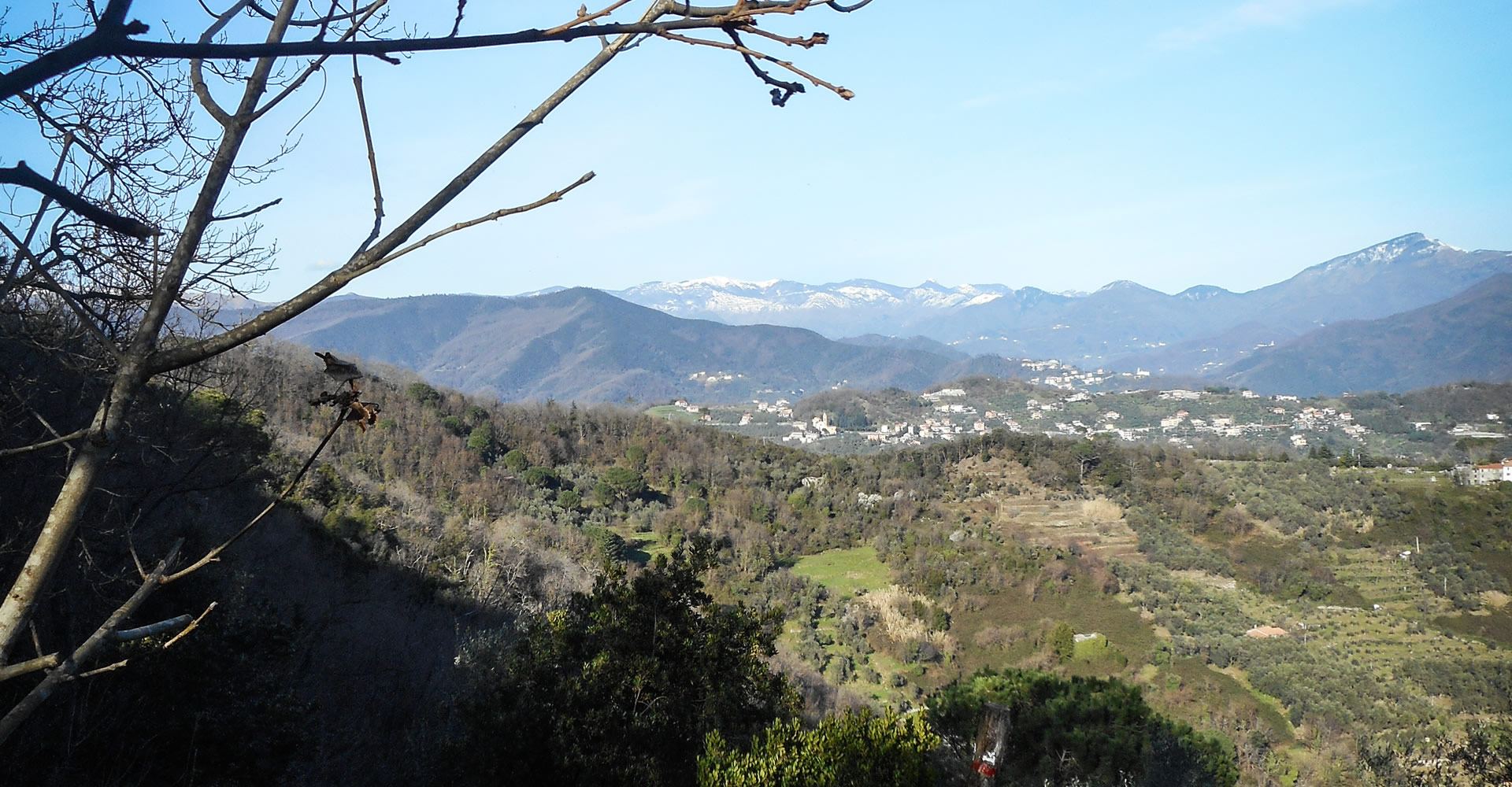 I monti Aiona, Penna e Zatta innevati, da Campodonico a 350 m slm